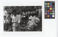 藏品(奏樂隊伍)的圖片