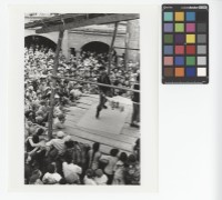 藏品(〈看戲〉)的圖片