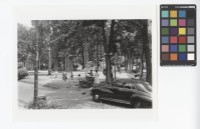 藏品(公園一景)的圖片