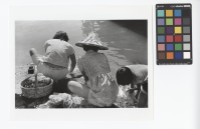 藏品(洗衣)的圖片