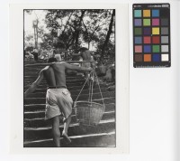 藏品(上樓梯)的圖片