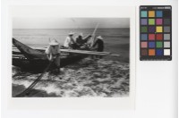 藏品(收網)的圖片