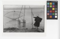 藏品(漁夫拉網)的圖片