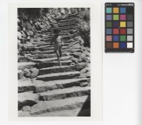 藏品(下樓梯)的圖片