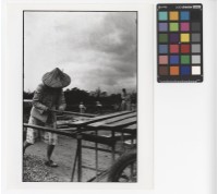 藏品(農田一景)的圖片