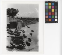 藏品(堤防邊)的圖片