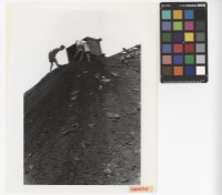 藏品(煤炭工人)的圖片