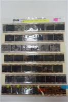 藏品(李悌欽135底片卷7)的圖片