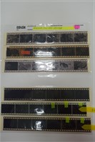 藏品(李悌欽135底片卷8)的圖片