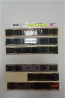 藏品(李悌欽135底片卷16)的圖片