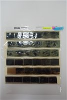 藏品(李悌欽135底片卷31)的圖片