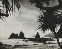 藏品(〈林投樹與船〉)的圖片