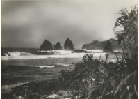 藏品(〈火燒島海邊〉)的圖片