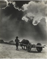 藏品(〈歸途（牛車）〉)的圖片