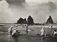 藏品(〈綠島系列〉)的圖片