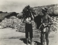 藏品(〈綠島系列〉)的圖片