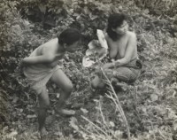 藏品(〈綠島系列〉)的圖片