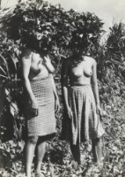 藏品(〈綠島系列〉)的圖片