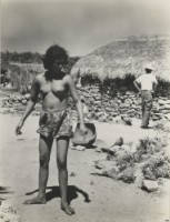 藏品(〈綠島系列〉)的圖片