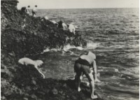 藏品(〈綠島系列〉)的圖片