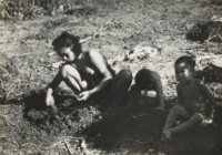 藏品(〈挖土豆〉)的圖片