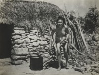 藏品(〈綠島系列〉)的圖片