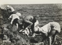 藏品(〈拔紫菜〉)的圖片