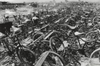 藏品(〈三輪車的墳墓〉)的圖片