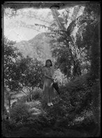 藏品(金淼寫真舘玻璃版底片41)的圖片