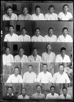 藏品(金淼寫真舘玻璃版底片74)的圖片