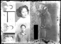 藏品(金淼寫真舘玻璃版底片119)的圖片