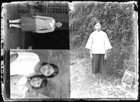 藏品(金淼寫真舘玻璃版底片126)的圖片