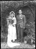 藏品(金淼寫真舘玻璃版底片214)的圖片