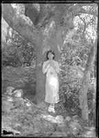 藏品(金淼寫真舘玻璃版底片229)的圖片