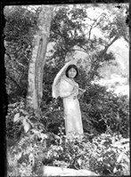 藏品(金淼寫真舘玻璃版底片230)的圖片