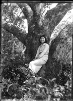 藏品(金淼寫真舘玻璃版底片231)的圖片