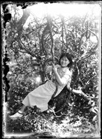 藏品(金淼寫真舘玻璃版底片234)的圖片