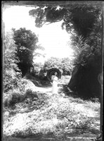 藏品(金淼寫真舘玻璃版底片236)的圖片