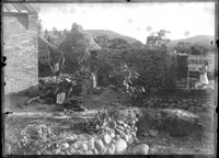 藏品(金淼寫真舘玻璃版底片273)的圖片