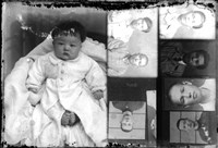 藏品(金淼寫真舘玻璃版底片304)的圖片