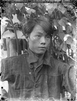 藏品(金淼寫真舘玻璃版底片360)的圖片