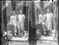 藏品(金淼寫真舘玻璃版底片441)的圖片