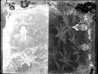 藏品(金淼寫真舘玻璃版底片468)的圖片