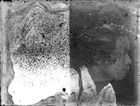 藏品(金淼寫真舘玻璃版底片495)的圖片