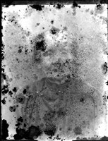 藏品(金淼寫真舘玻璃版底片497)的圖片