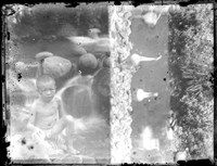 藏品(金淼寫真舘玻璃版底片506)的圖片