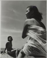 藏品(〈望風懷想〉)的圖片