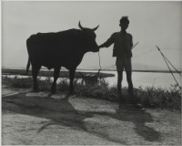 藏品(〈工作一天要回家啦〉)的圖片