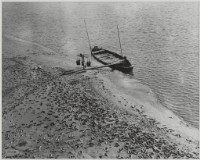 藏品(〈水肥船〉)的圖片