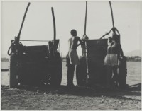 藏品(〈農車〉)的圖片